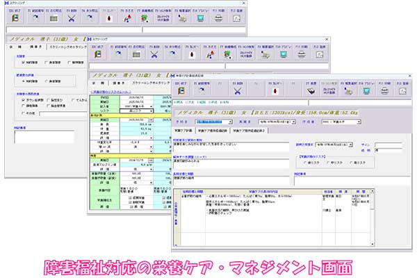 障害福祉向け入力項目対応イメージ